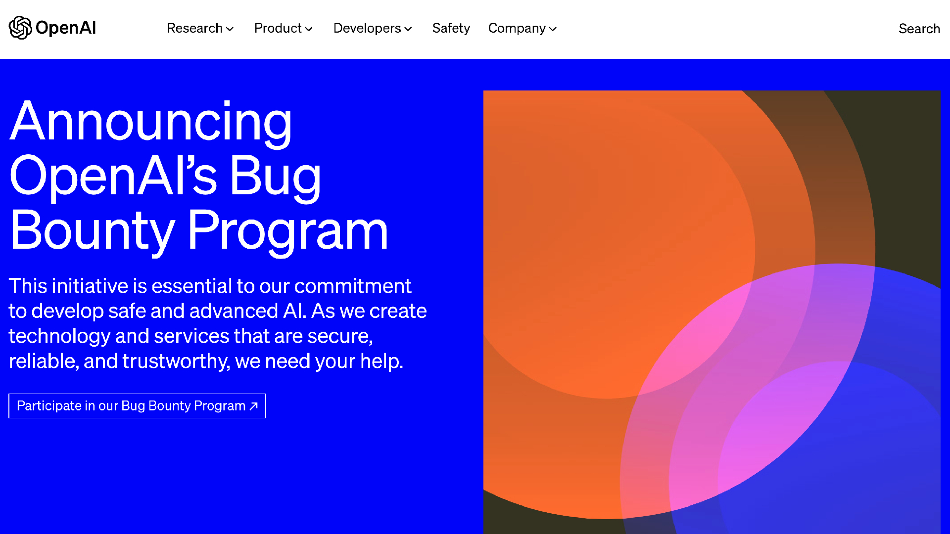 Bug Bounty Program